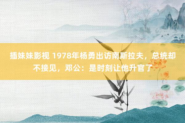 插妹妹影视 1978年杨勇出访南斯拉夫，总统却不接见，邓公：是时刻让他升官了