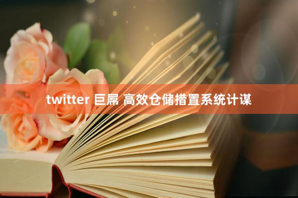twitter 巨屌 高效仓储措置系统计谋