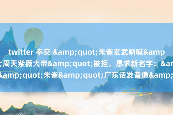 twitter 拳交 &quot;朱雀玄武呐喊&quot;更名&quot;周天紫薇大帝&quot;被拒，恳求新名字：&quot;朱雀&quot;广东话发音像&quot;猪脚&quot;