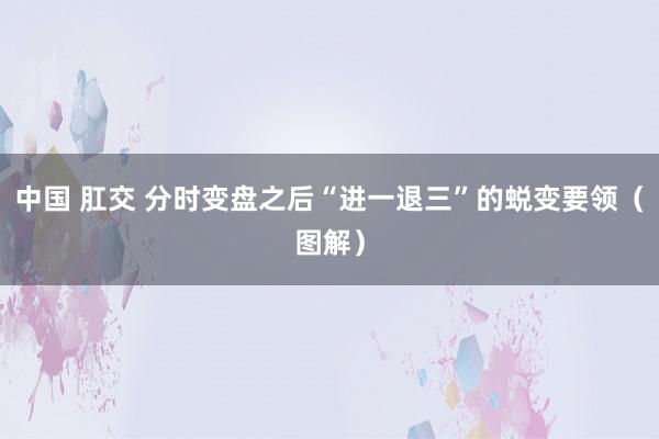 中国 肛交 分时变盘之后“进一退三”的蜕变要领（图解）