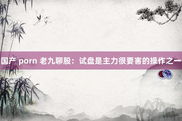 国产 porn 老九聊股:试盘是主力很要害的操作之一